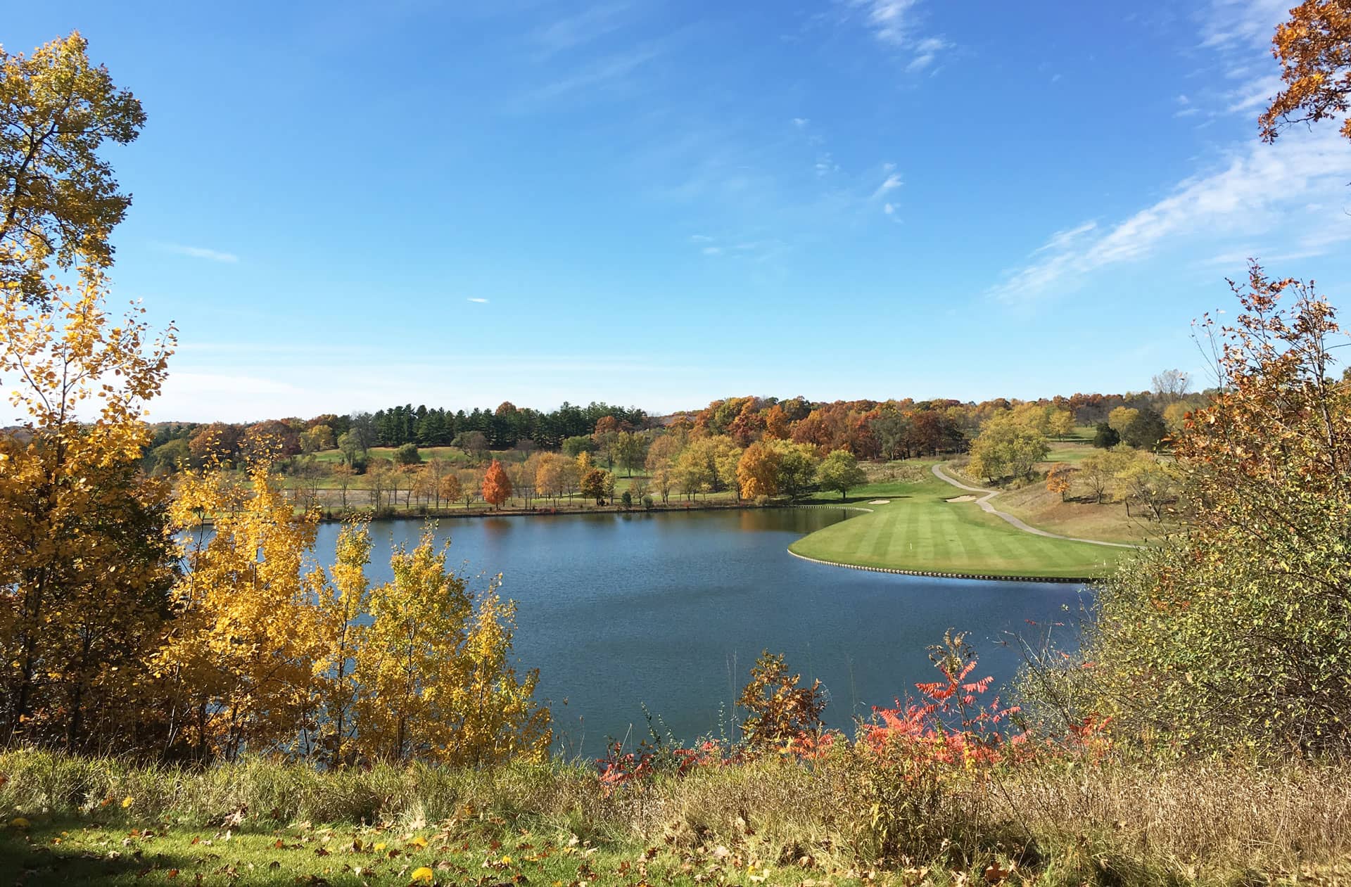 Scenic view of a lake surrounded by colorful autumn trees and a grassy area under a clear blue sky.