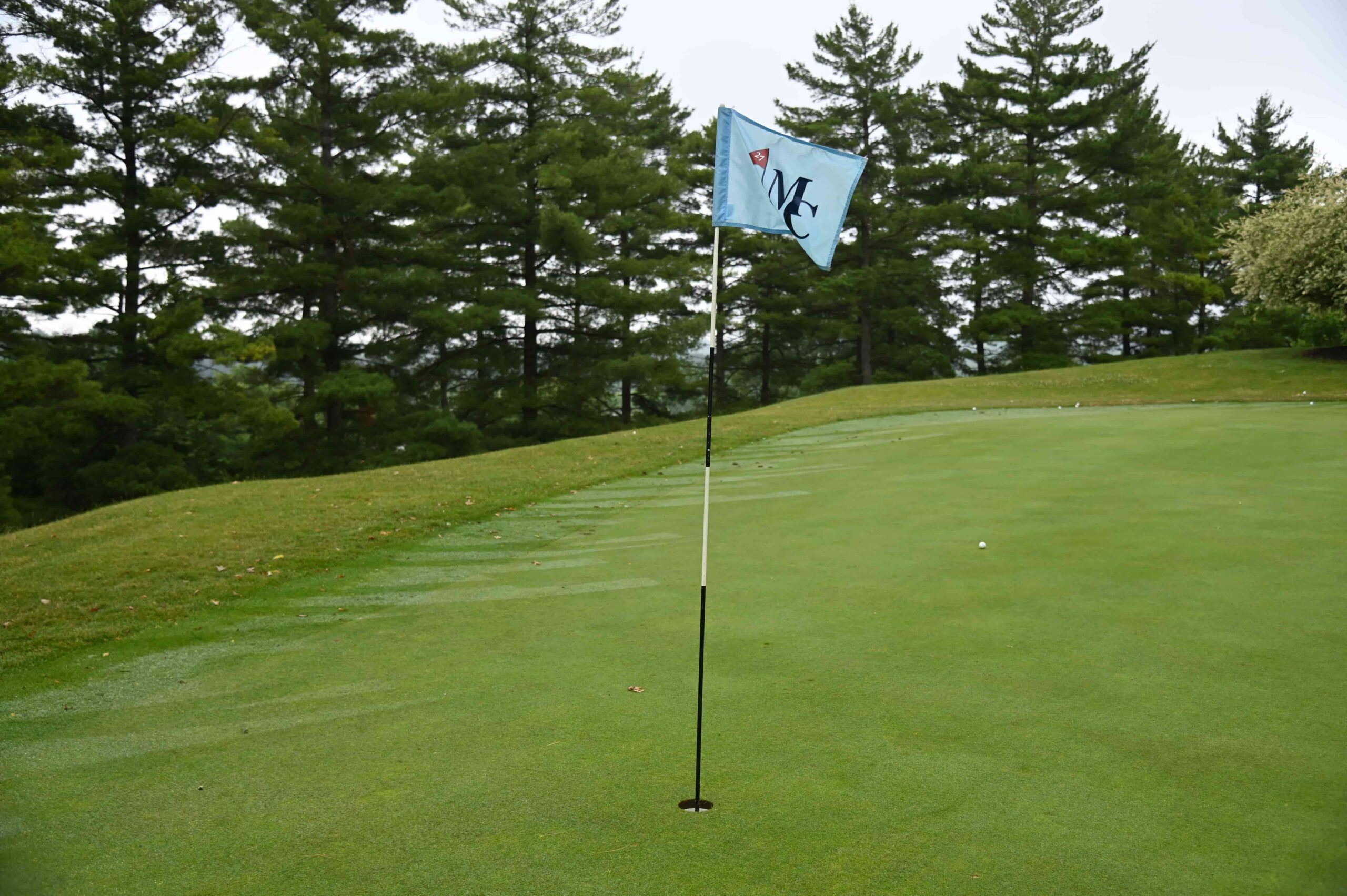 Golf flag on a green with trees in the background, indicating a golf course setting.